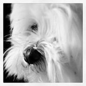 Foto de Kerry Barry
