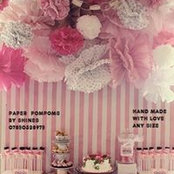 Lizzie Shine's photo