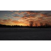 Terri Lewis's photo