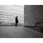 Louis Louie's photo