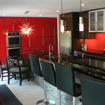 Modern Kitchen - Gloss Red & Dark Zebra