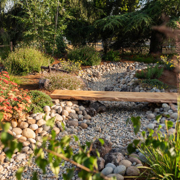Riverbed Crossing