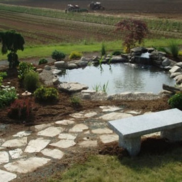 Planting