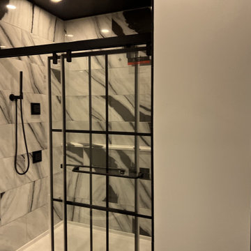 Basement Remodel