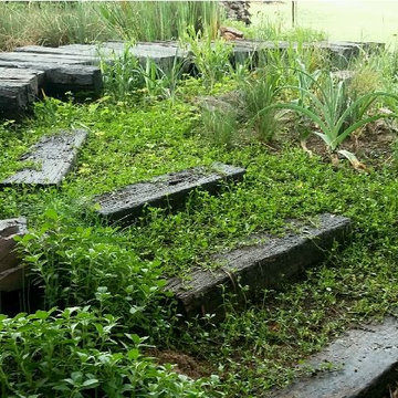 Prairie Style Country Garden