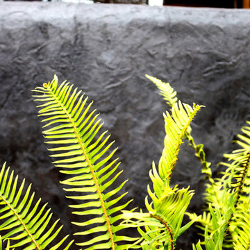 Tabor Modern Backyard