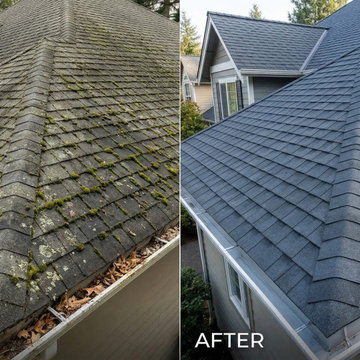 Before & After Highlights
