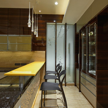 Modern Indian apartment