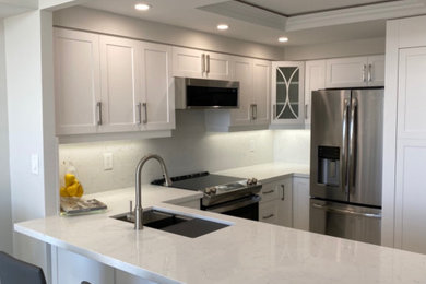 Complete Condominium Kitchen Renovation