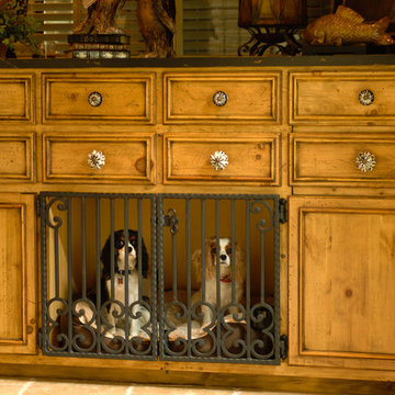 Pet Solutions For Your Home | Whitmire Custom Homes