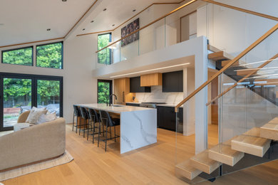 Inspiration for a modern kitchen remodel in Other