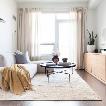 Modern Cozy Living Room