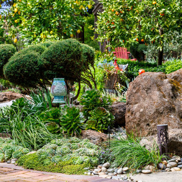 From Overwhelmed to Peace of Mind: A Saratoga Landscape Transformation