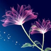 Suzanne Roy's photo