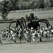 Tom Sneath's photo