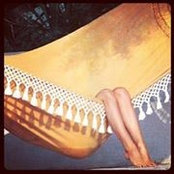 Heather Wills's photo