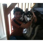 Vlad Draghia's photo