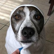 Megan Ruschmeyer's photo