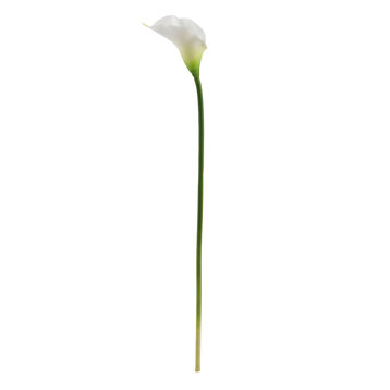 Nearly Natural 19.5" Calla Lily Artificial Flower (Set of 12)