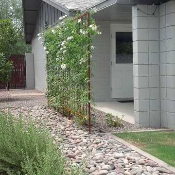 Mid Century Modern - Phoenix