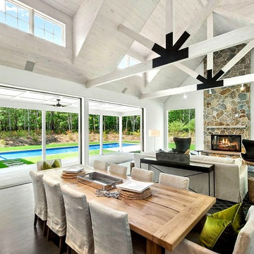 CHIMNEYS & FIREPLACES
