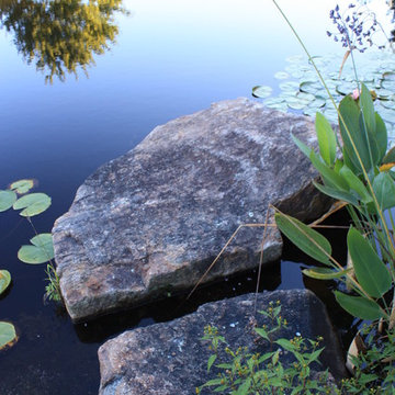 Pond Side Home for a Relocated Tree