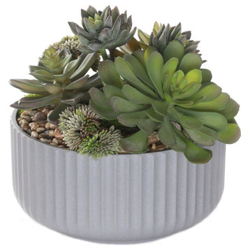 Succulents Arrangement With rocks, Gray Pot