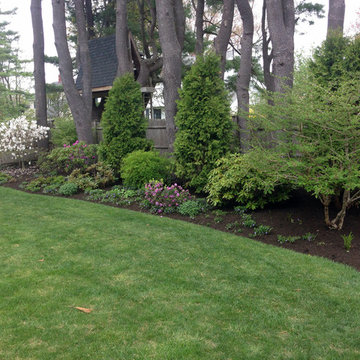 Our Work