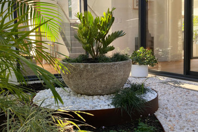 Inspiration for a tropical garden in Perth.
