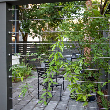 modern garden in historic Charleston, SC
