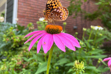 Inspiration for a landscaping in New York.