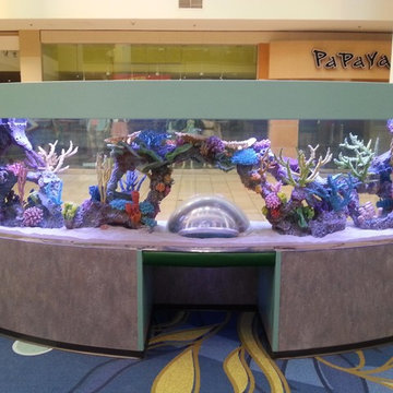 Custom Aquarium Designs