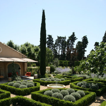 Provencal garden with contemporary lines