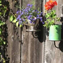 Gardening And Plants