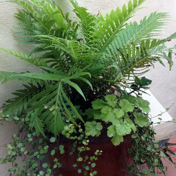 Container Garden