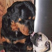 Foto von Joy Peters