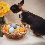 Paulina Drozdzowski's photo