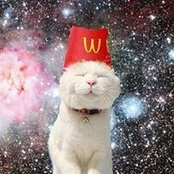 Cansın Purr-üさんの写真
