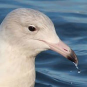 Fred Hosley's photo