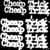 David Bickerdike's photo