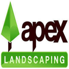 Apex Landscaping and Outdoor Solutions