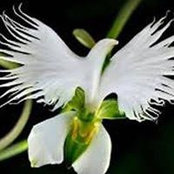 Tracy Harris's photo
