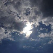Sandra Hale's photo