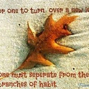 Robert Griffin's photo