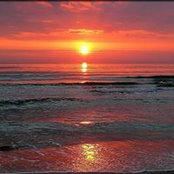 Rocio Torres's photo