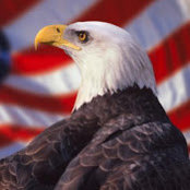 One Nation Under Gods billede