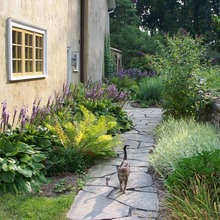 Side of House Landscaping