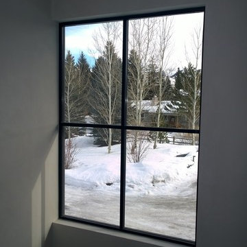 A Transitional Look with 2 x 2 SDL on thermally broken steel windows