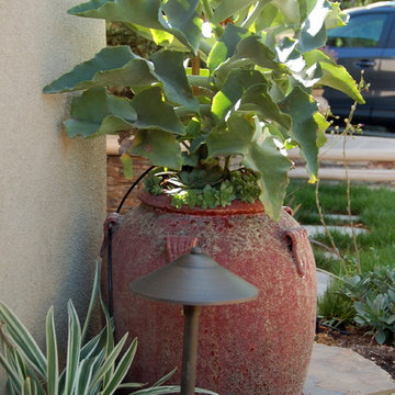 Pretty succulent garden