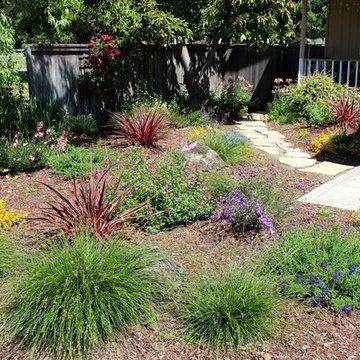 Super Sunny Multi-use Backyard
